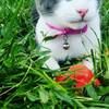 yaz0628